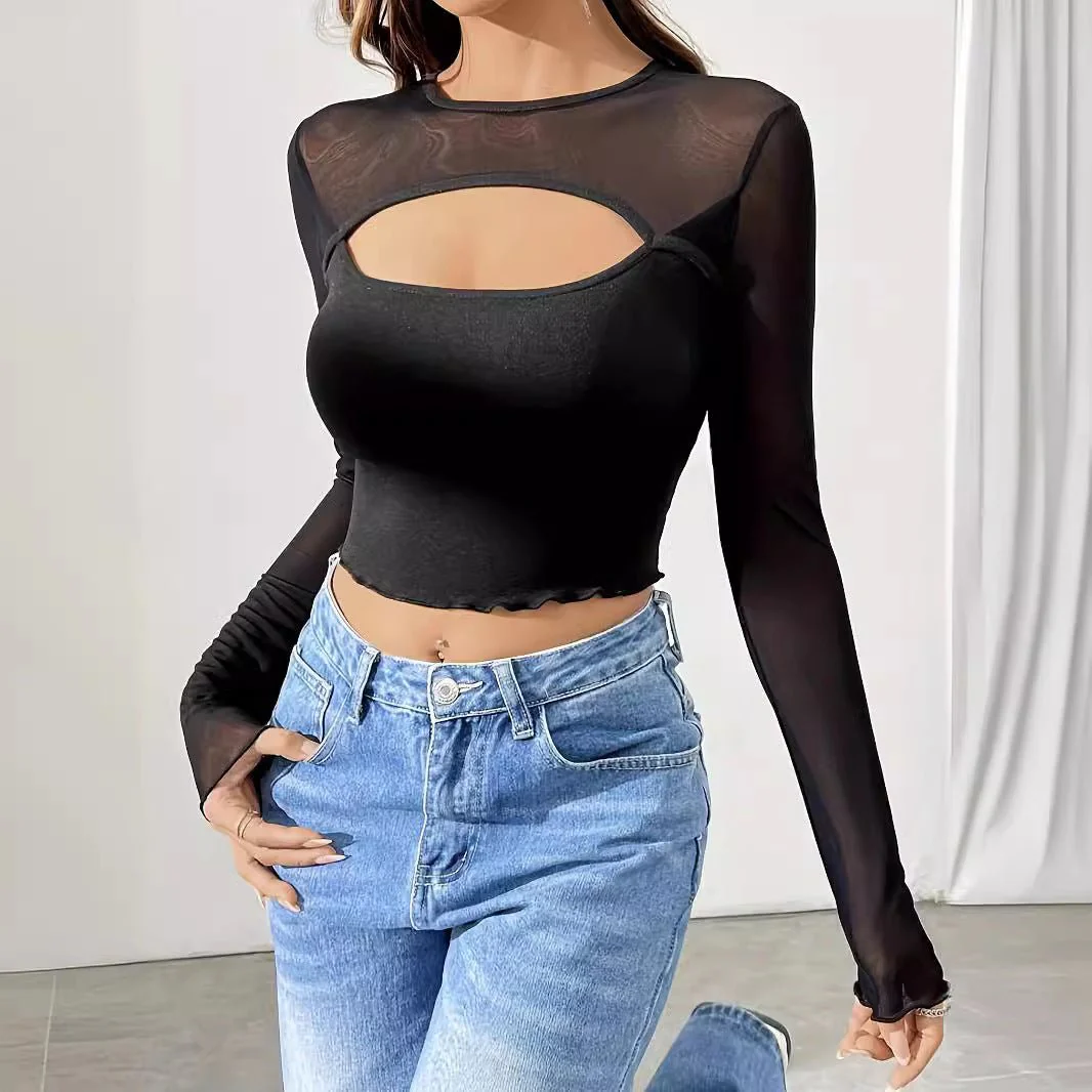 2025 new sexy chest hollow mesh splicing long-sleeved short T-shirt thin top women - Image 4