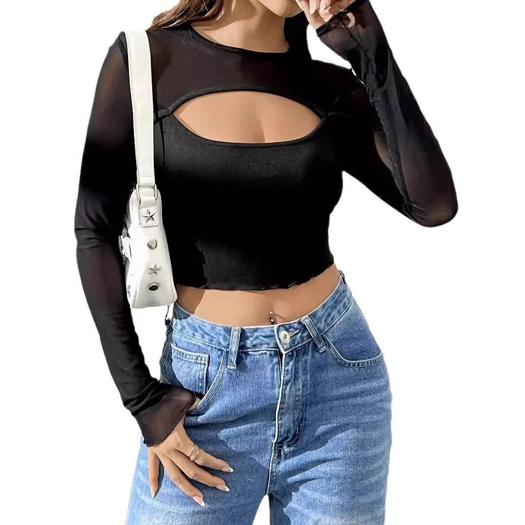 2025 new sexy chest hollow mesh splicing long-sleeved short T-shirt thin top women - Image 5