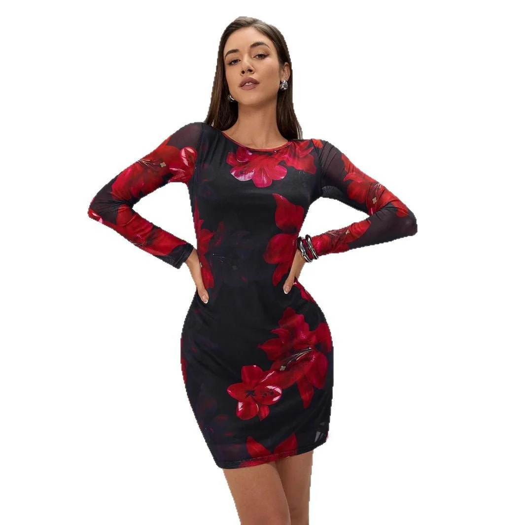 The Floral Mesh | Women's Floral Print Mesh Long-Sleeve Pencil Mini Dress - Image 5